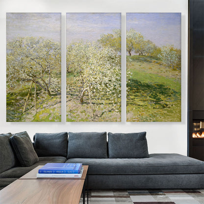 Spring - Fruit Trees in Bloom