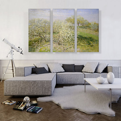 Spring - Fruit Trees in Bloom