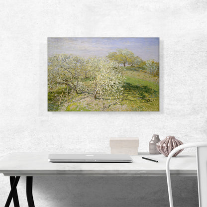 Spring - Fruit Trees in Bloom