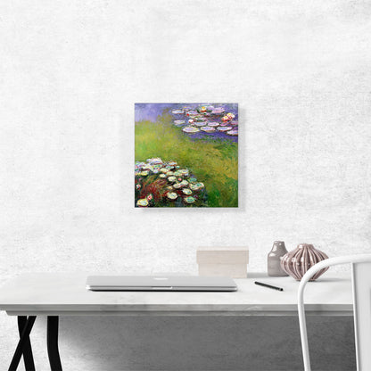 Waterlilies 1914-1917