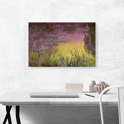 Waterlilies at Sunset