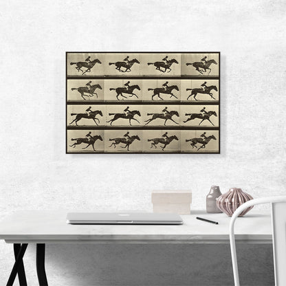 Animal Locomotion - Race Horse