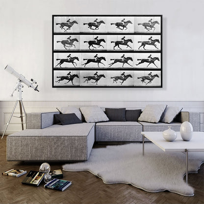 16 Frames of Racehorse