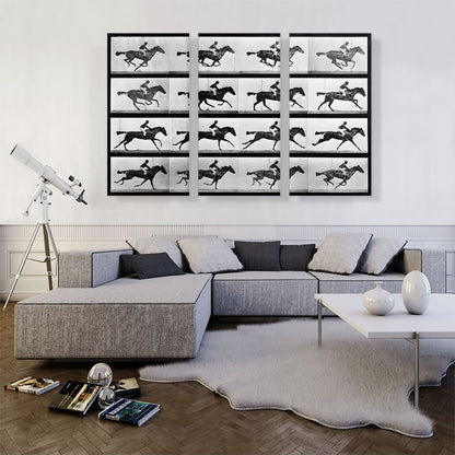 16 Frames of Racehorse