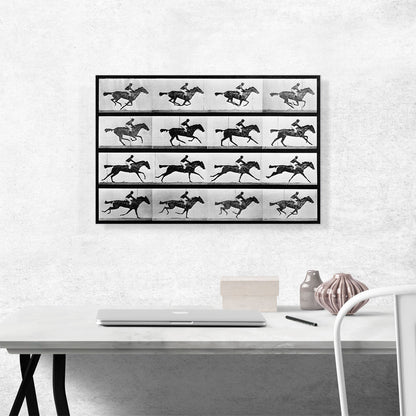 16 Frames of Racehorse