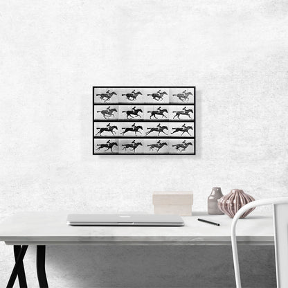 16 Frames of Racehorse