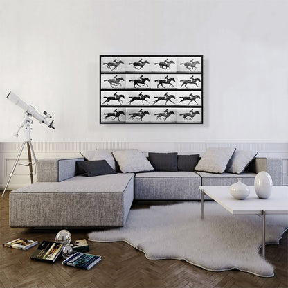 16 Frames of Racehorse