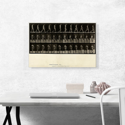 Man Walking Locomotion Plate 1 1887