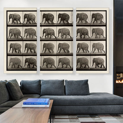 An Elephant Walking Sepia