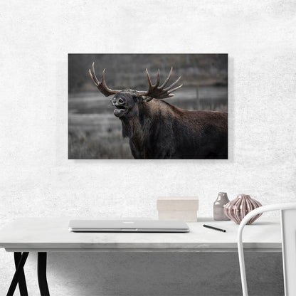 Alaskan Moose Home Decor Rectangle
