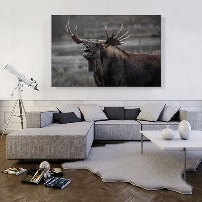 Alaskan Moose Home Decor Rectangle