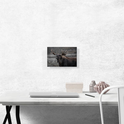 Alaskan Moose Home Decor Rectangle