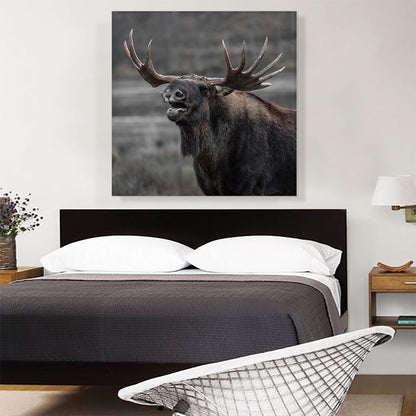 Alaskan Moose Home Decor Square