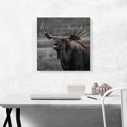 Alaskan Moose Home Decor Square