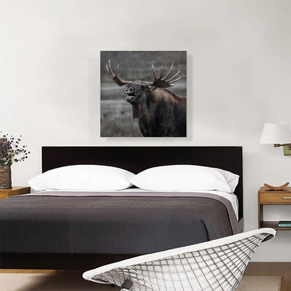 Alaskan Moose Home Decor Square