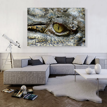 Crocodile Eye Zoo decor