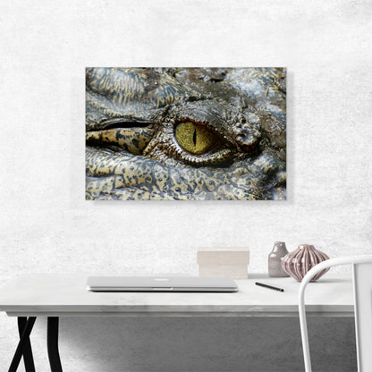 Crocodile Eye Zoo decor