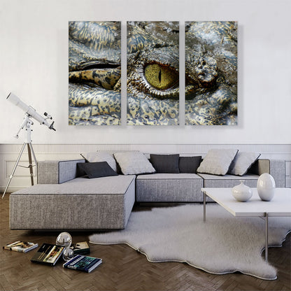 Crocodile Eye Zoo decor