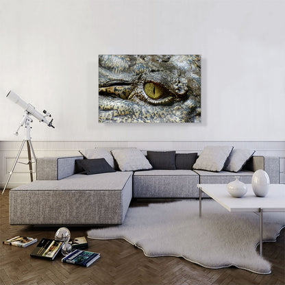 Crocodile Eye Zoo decor