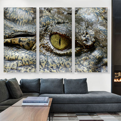 Crocodile Eye Zoo decor