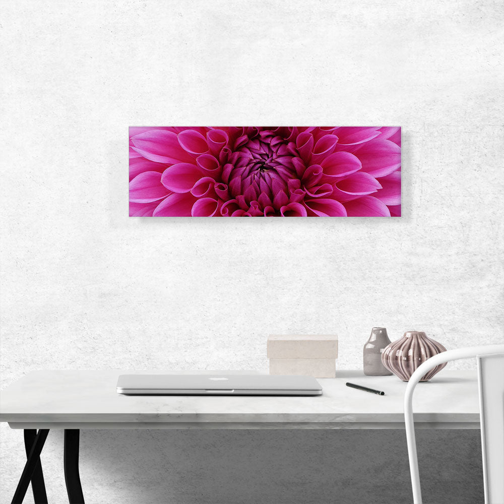 Dahlia Flower Home Decor Panoramic