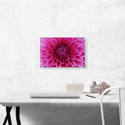 Dahlia Flower Home Decor Rectangle