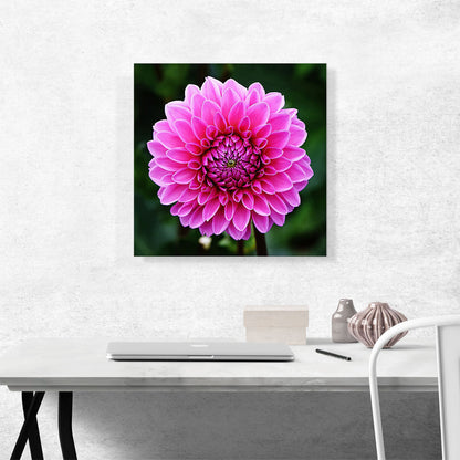 Dahlia Flower Home Decor Square