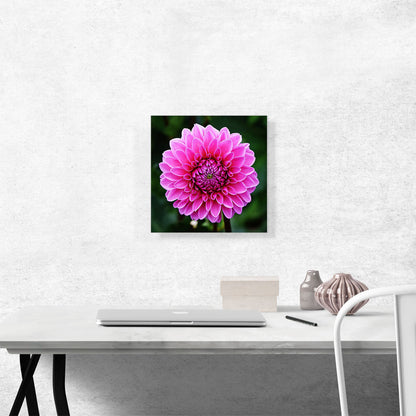 Dahlia Flower Home Decor Square
