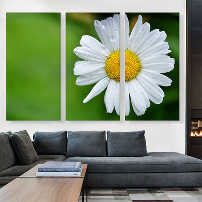 Daisy Flower Home decor