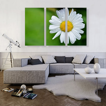 Daisy Flower Home decor