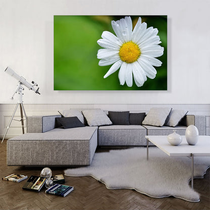 Daisy Flower Home decor