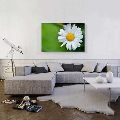 Daisy Flower Home decor