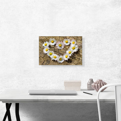 Daisy Heart Flower Home decor