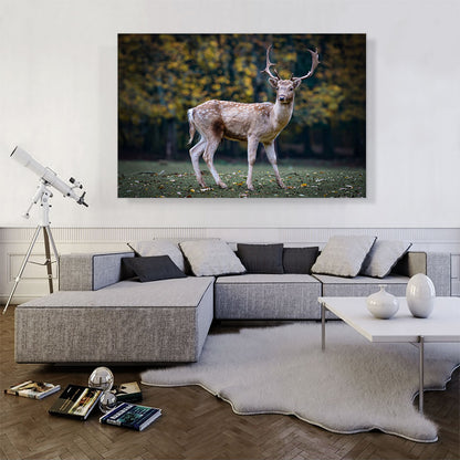 Deer In Forest Home decor