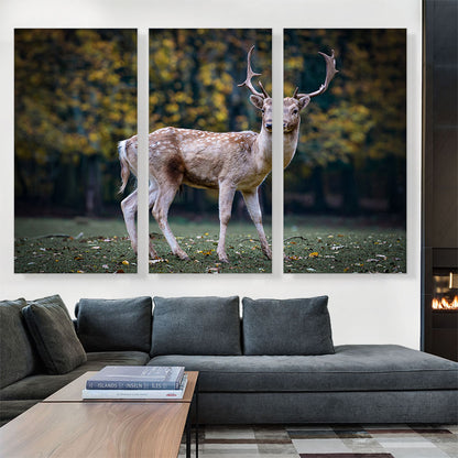 Deer In Forest Home decor