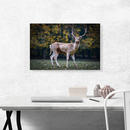 Deer In Forest Home decor
