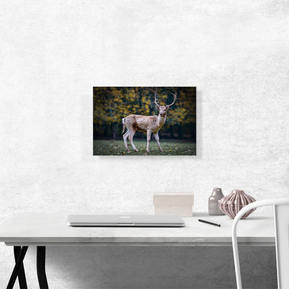 Deer In Forest Home decor