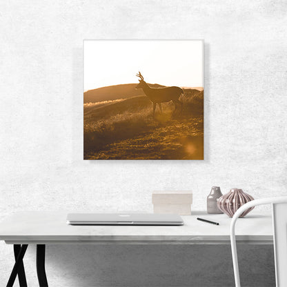 Deer In Wild Home Decor