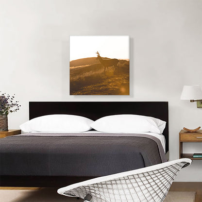 Deer In Wild Home Decor
