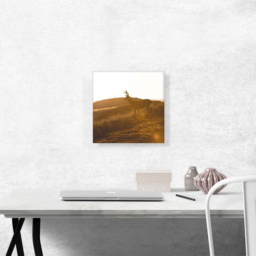 Deer In Wild Home Decor
