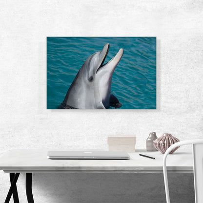 Dolphin Home decor