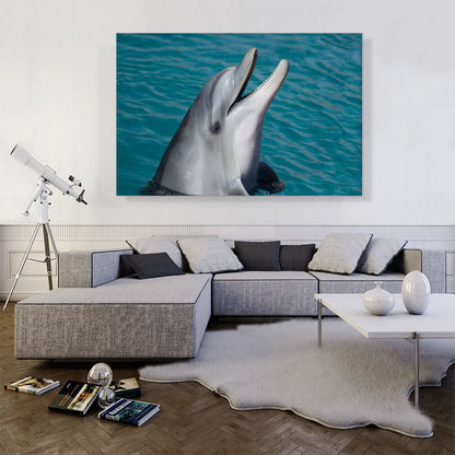 Dolphin Home decor