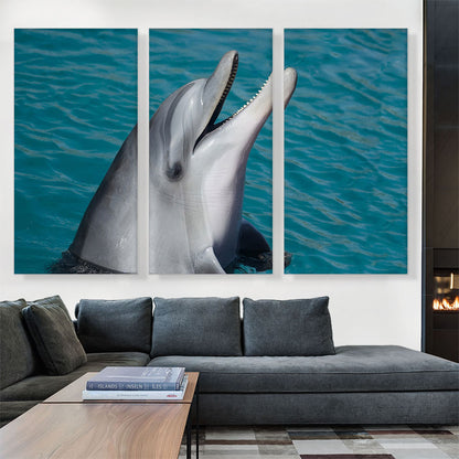 Dolphin Home decor