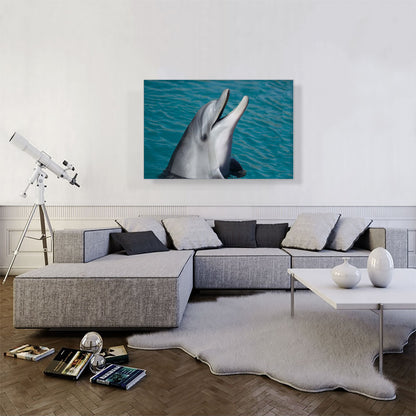 Dolphin Home decor