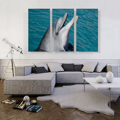 Dolphin Home decor