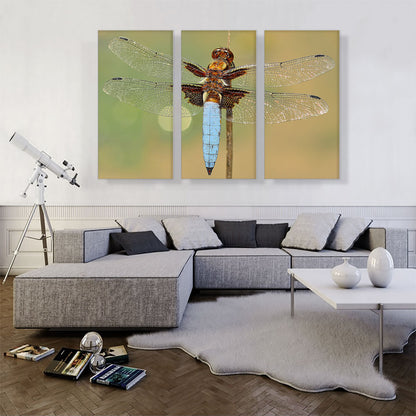 Dragonfly Home decor