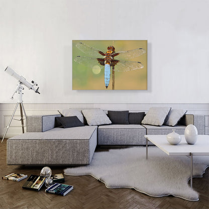 Dragonfly Home decor