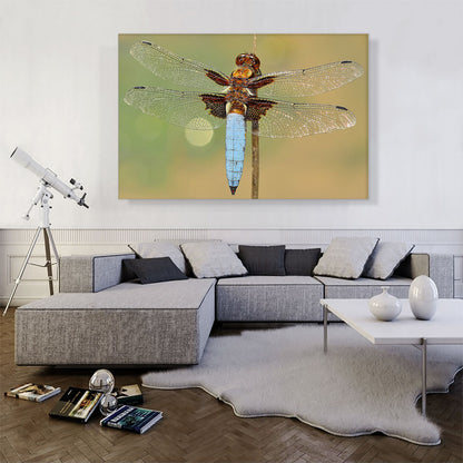 Dragonfly Home decor