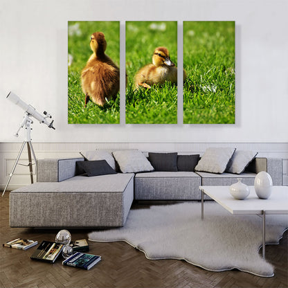 Ducklings In Yard Home decor