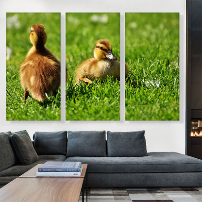 Ducklings In Yard Home decor